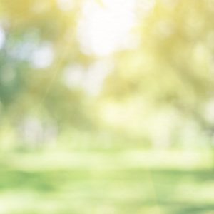 Single Session Hypnotherapy & Extended Support