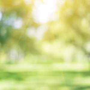 Single Session: Mentoring / Coaching